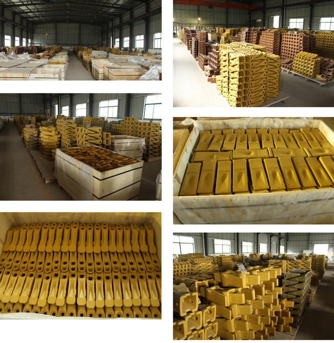 Caterpillar J Series Tooth J200 1u3201 Tooth Short