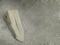 Cat J Family J460 Tooth-Heavy 1386451