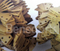 Seitenschneider-Ersatz-Bodenbearbeitungswerkzeug Baggeradapter 2901-00393
